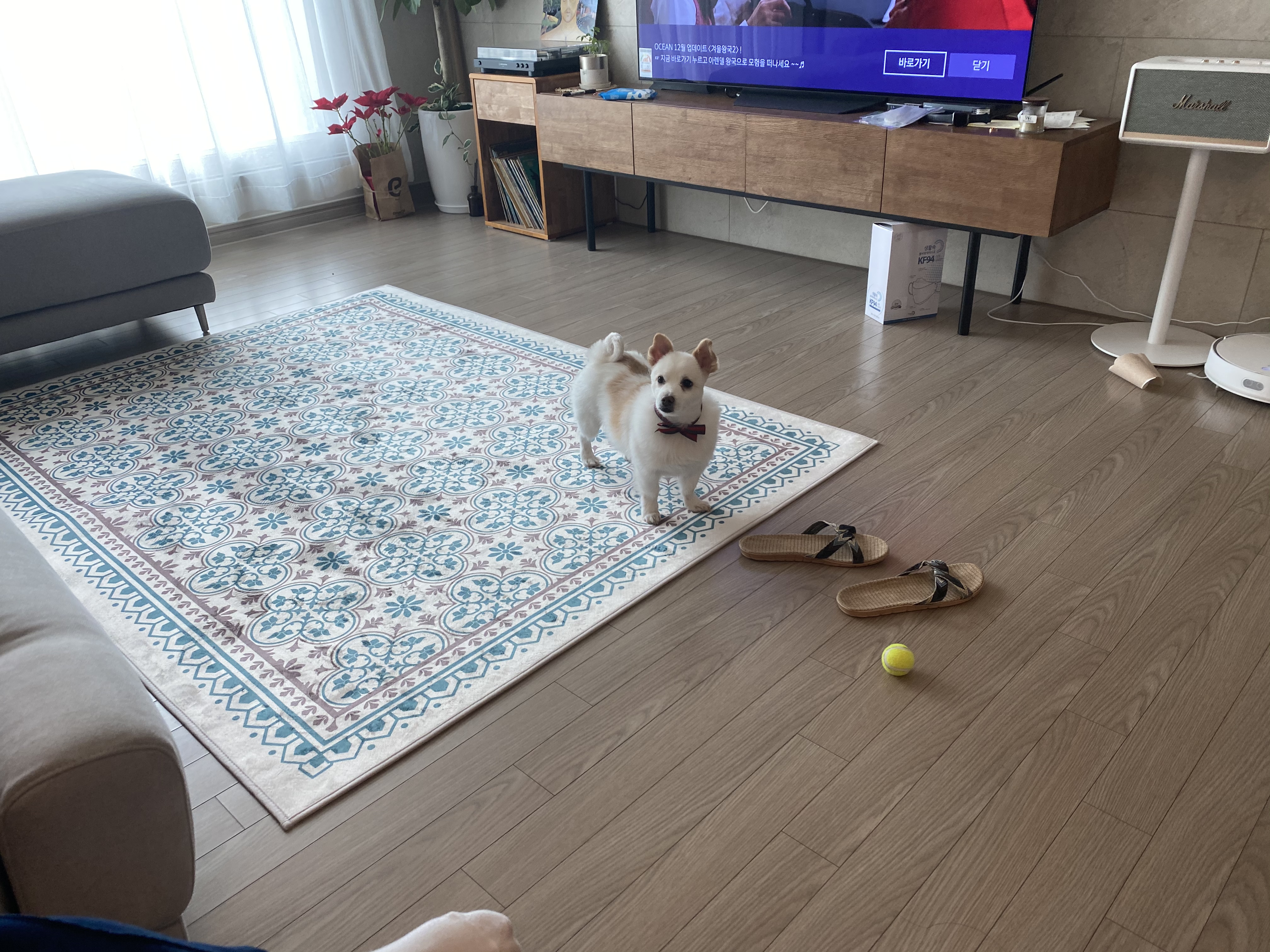 거실이 환해졌어요